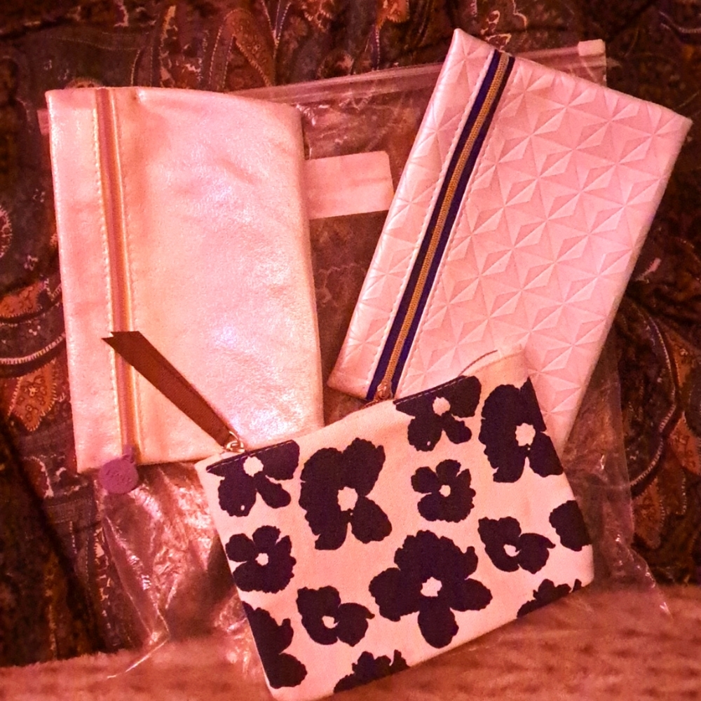 IPSY brand makeup bag 3×20$